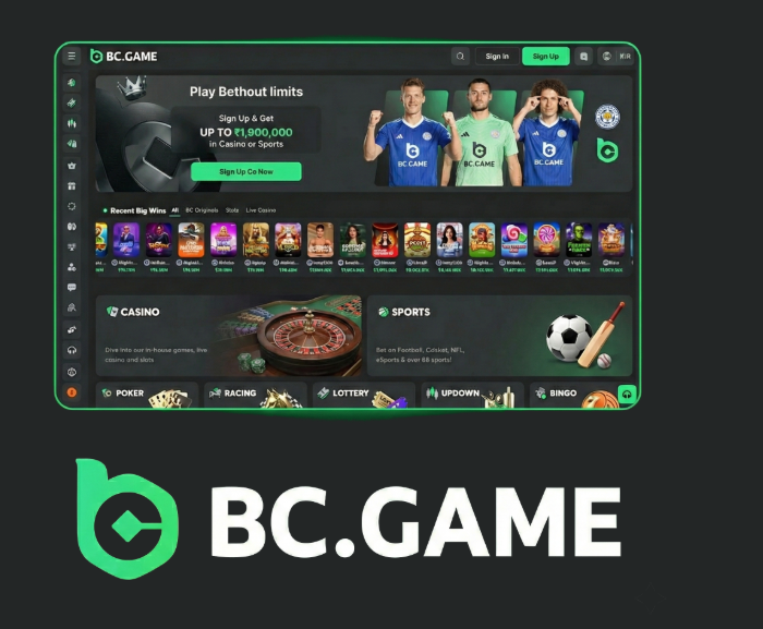 Understanding the BC.Game Login Process A Comprehensive Guide -376224135
